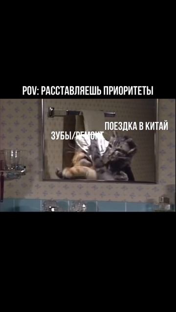 А что выберешь ты? #китай #китайскийязык #китайский #китайцы #юмор #коты #мем #мемы #котики