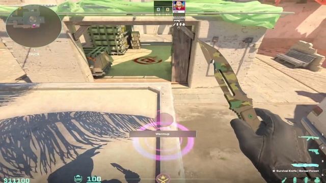 ГРАНАТЫ и ФИШКИ в CS2 на ВСЕХ КАРТАХ (баги, молики, смоки,