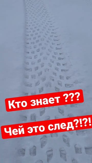 Чей это след? Снежный человек смотреть онлайн