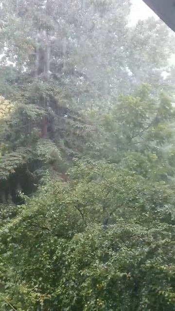 Дожди в Сочи. В каждом районе по разному. Есть места гд? смотреть онлайн