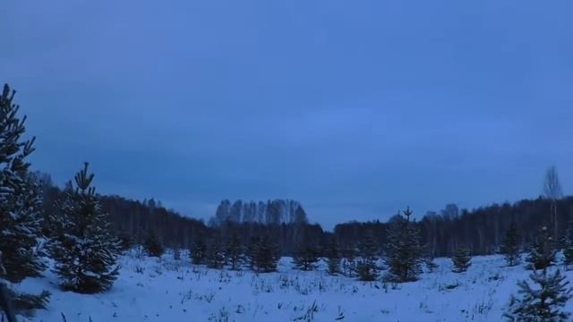 Загонная охота смотреть онлайн