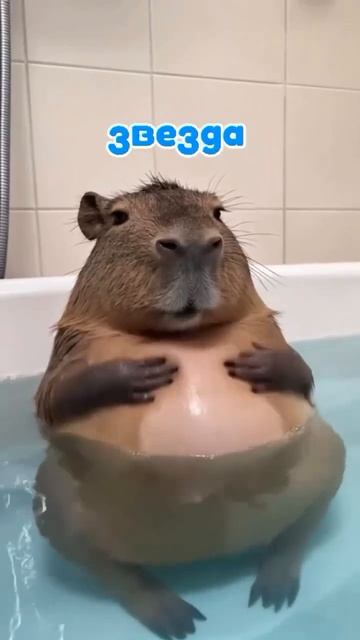 Аффирмация на похудение. смотреть онлайн