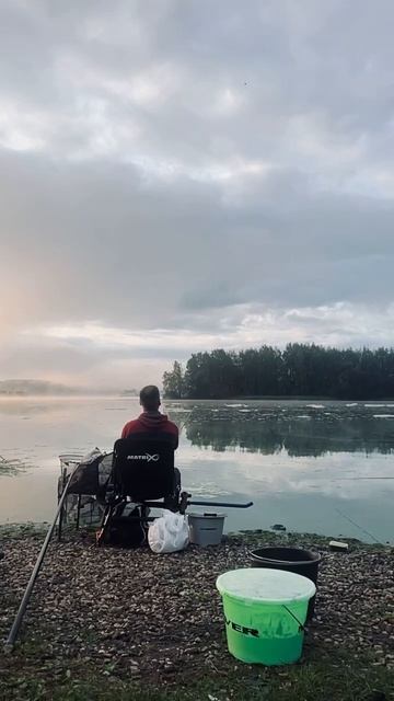 Фидерный забросик 💪 #bream #feeder #fish #fishing #рыбалка #adventure #be смотреть онлайн