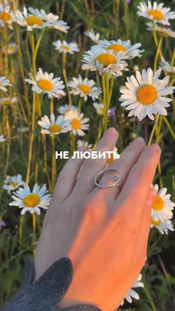 Любить жизнь за то, что можно просто БЫТЬ собой💫🙏🏻? смотреть онлайн