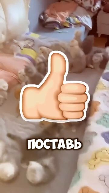 Самая легкая работа в мире 🤯