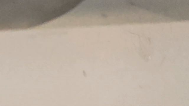 обзор и подключение робота пылесоса Xiaomi Mijia Omni M40 D110сп ?