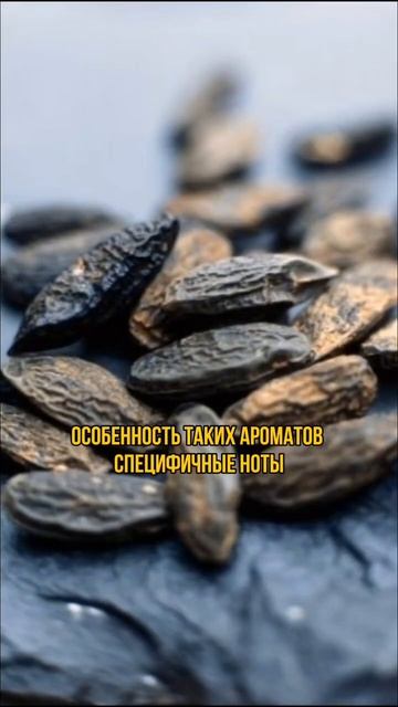 Есть любимчики среди фужерных ароматов? 🪴 смотреть онлайн