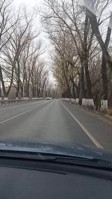 Великий Новгород смотреть онлайн