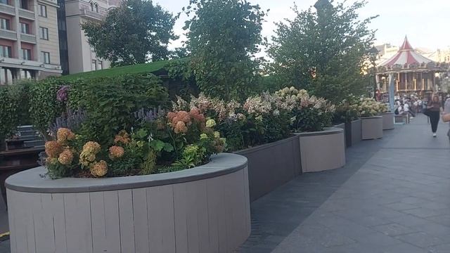 Фестиваль "Цветочный джем". Около метро Театральная (01.09.23) смотреть онлайн