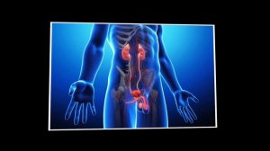 2 САМЫХ ВАЖНЫХ упражнения КЕГЕЛЯ для мужчин