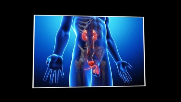 2 САМЫХ ВАЖНЫХ упражнения КЕГЕЛЯ для мужчин