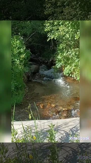 я уехал в горы смотреть онлайн