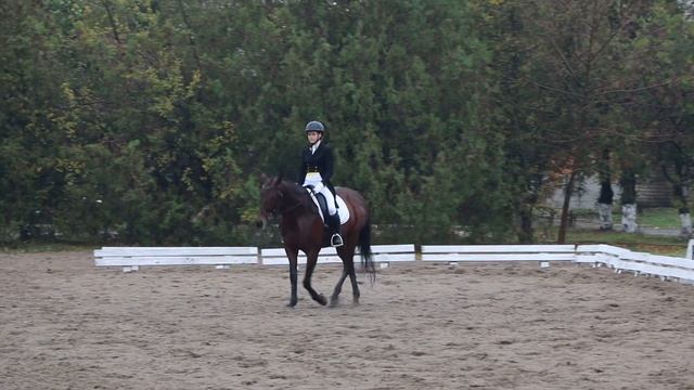 Мой город Н: соревнования на конно-спортивной базе, выездка смотреть онлайн