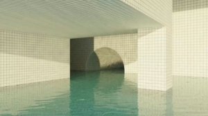 Инцидент Бассейна | Перевод на русский с озвучкой