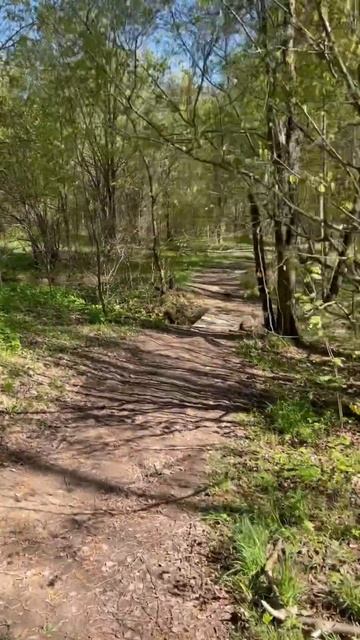 Не нужно мне солнце Монако, если тебя рядом нет. ❤️❤️ смотреть онлайн