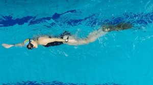 Дельфин на боку