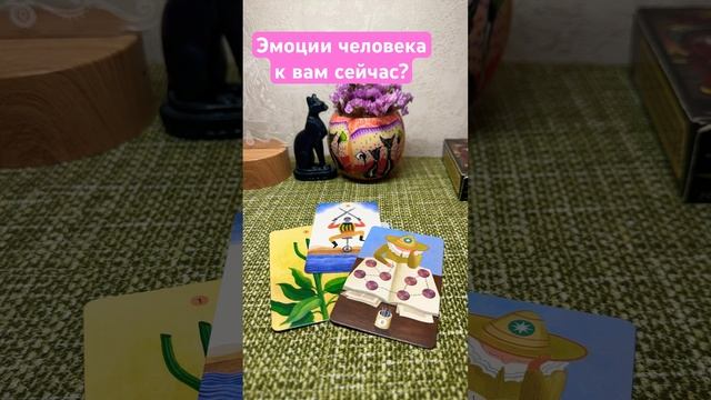 Эмоции человека к вам сейчас🫶 #отношения #таро #раскл? смотреть онлайн