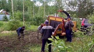 Как расчистить участок от кустарника на даче.