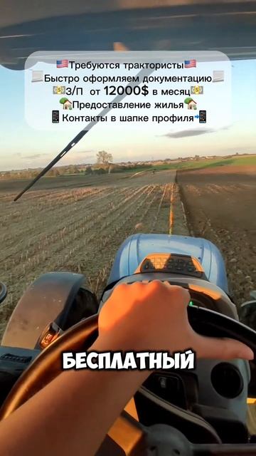 Срочно требуются трактористы на работу в Америку. #вак смотреть онлайн