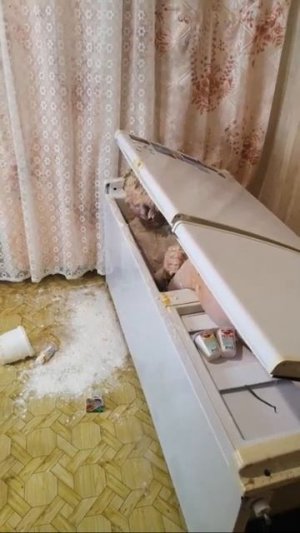 Странный мужик в холодильнике