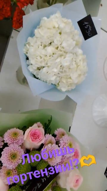 #гортензии #мечта #флористика #танцы #тюмень #бузова