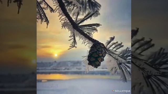 Презентация леса смотреть онлайн