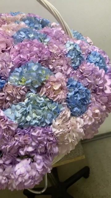 🌺201шт гортензия в корзину🥰. 🚚Есть доставка по Москв смотреть онлайн