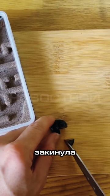 🐜МУРАВЬИНАЯ ФЕРМА НА АЙФОНЕ | Новостной #муравьинаяф? смотреть онлайн