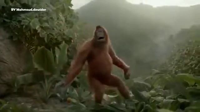 Обезьяна Прикол смотреть онлайн