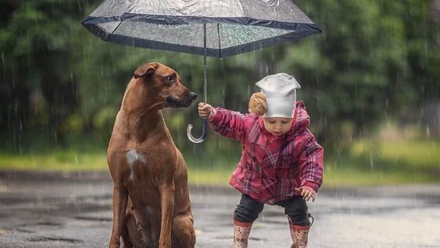 Живут на свете люди дураки смотреть онлайн