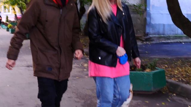 Как выгуливать собаку? Смешное видео для детей с корги Альфом про дрессировку собак! смотреть онлайн