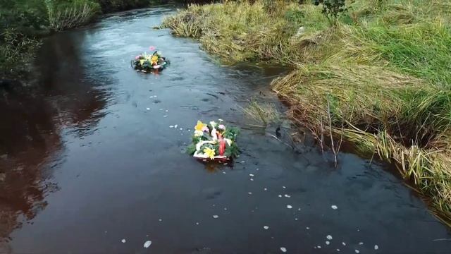 Акция «Цветы памяти» в Свободненском районе смотреть онлайн