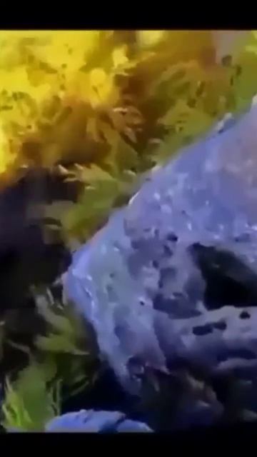 Сахалин. Дальний Восток России #automobile #khabarovsk #отдых #ро? смотреть онлайн