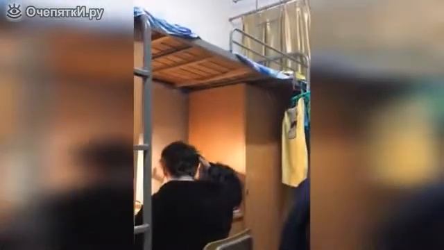 Прикольные коты, кошки и собаки! смотреть онлайн