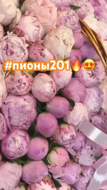 Заказать цветы в Москве! #flowers #rose #цветы #rose #bouquet смотреть онлайн