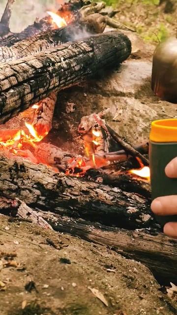 Чай у костра #ambience #asmr #cozyfireplace #shorts смотреть онлайн