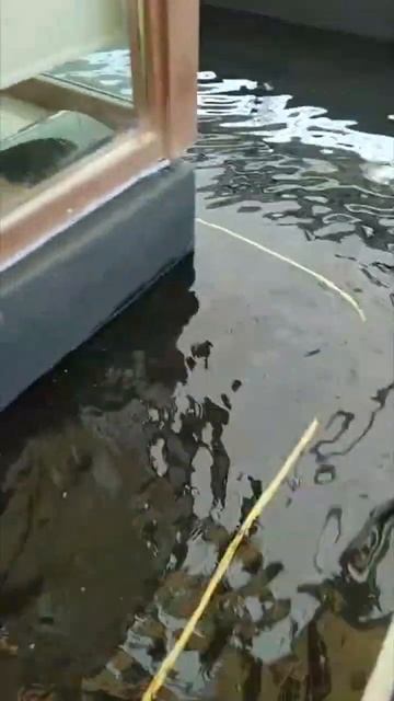 Гидроиспытание ЭПДМ мембрана Resitrix #кровля #монтажкро? смотреть онлайн