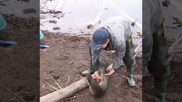 рыбалка на Буреинской ГЭС 👌