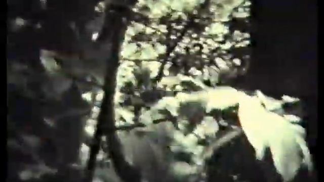 Новые амазонки (1989) смотреть онлайн
