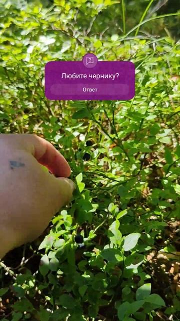 Ешь эти ягоды 3 раза в день и спина не будет болеть 🤣 смотреть онлайн