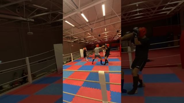 #boxing #thaiboxing #спорт #перчатки #бокс #защита #бой #германия смотреть онлайн