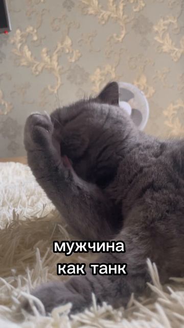Женщина, как граната #short смотреть онлайн