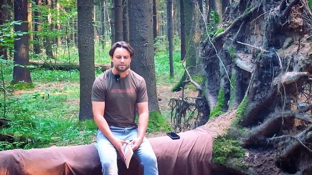 Поэзия. Дмитрий Баташев смотреть онлайн