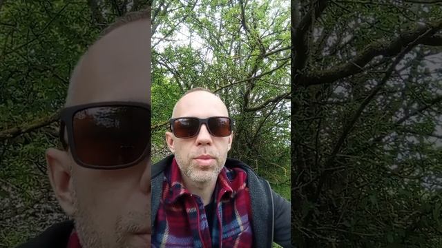 Уполномоченные, дайте права ребенку быть сыном 👦 смотреть онлайн