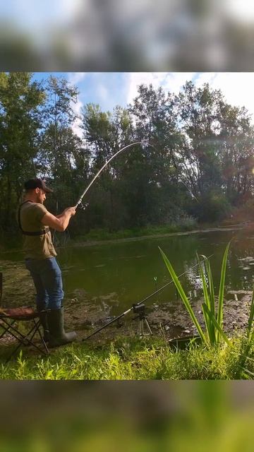 Рыбалка на поплавок #рыбалка #fishing #carp #карп смотреть онлайн