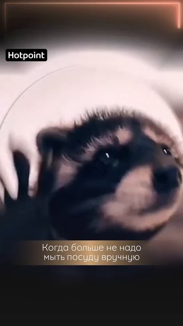 Танцуйте вместе с енотом, пока посуда моется сама в #Hotp смотреть онлайн