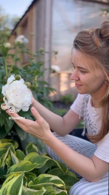 2 месяца пионов в 20ти секундах🌸 ваза ручной работы, мо смотреть онлайн