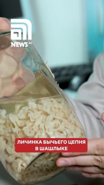 25-метровый глист вырос в теле человека после отдыха на смотреть онлайн