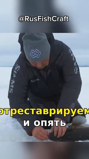 Поимка большого судака на Рыбинском водохранилище! См смотреть онлайн