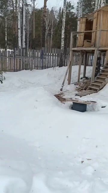 Идём на работу в дом на дереве школьников #домнадереве смотреть онлайн